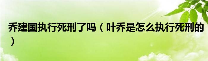 乔建国执行死刑了吗（叶乔是怎么执行死刑的）