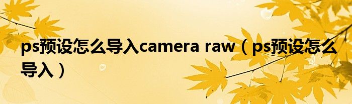 ps预设怎么导入camera raw（ps预设怎么导入）