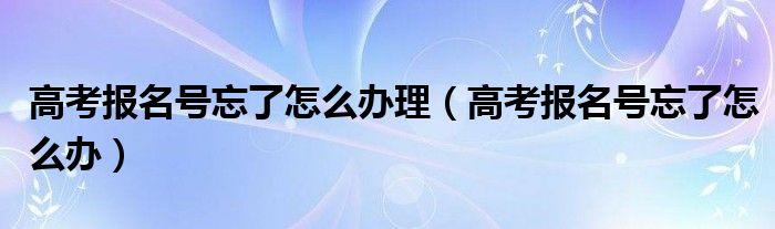 高考报名号忘了怎么办理（高考报名号忘了怎么办）