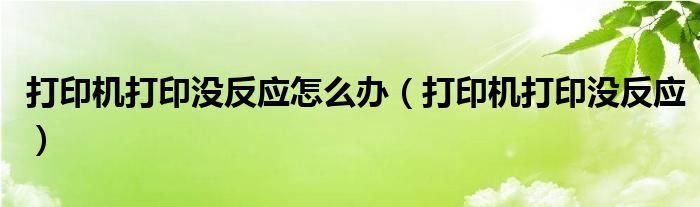 打印机打印没反应怎么办（打印机打印没反应）