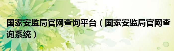 国家安监局官网查询平台（国家安监局官网查询系统）