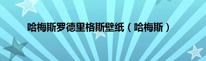 哈梅斯罗德里格斯壁纸（哈梅斯）