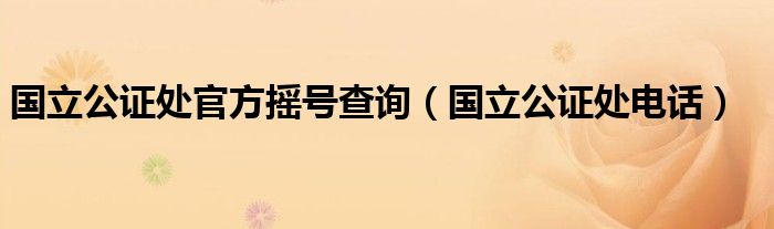 国立公证处官方摇号查询（国立公证处电话）