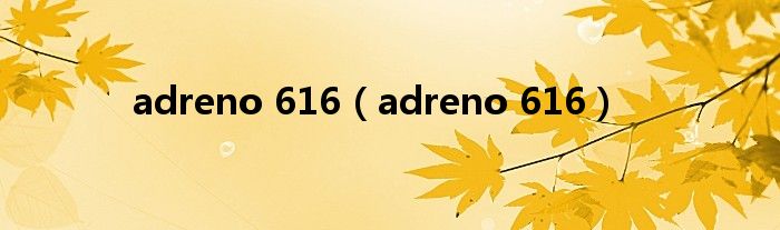 adreno 616（adreno 616）