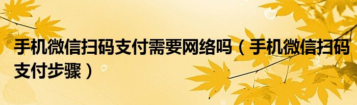 手机微信扫码支付需要网络吗（手机微信扫码支付步骤）