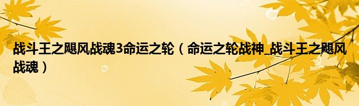 战斗王之飓风战魂3命运之轮（命运之轮战神_战斗王之飓风战魂）