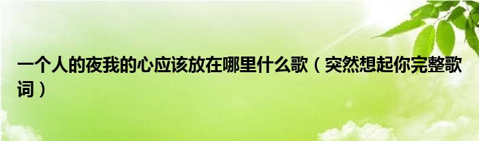 一个人的夜我的心应该放在哪里什么歌（突然想起你完整歌词）