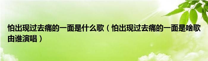 怕出现过去痛的一面是什么歌（怕出现过去痛的一面是啥歌由谁演唱）