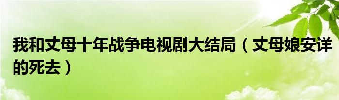 我和丈母十年战争电视剧大结局（丈母娘安详的死去）