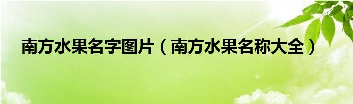 南方水果名字图片（南方水果名称大全）