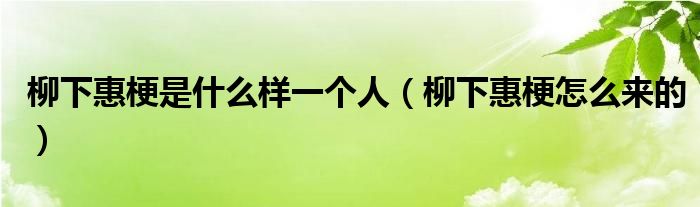 柳下惠梗是什么样一个人（柳下惠梗怎么来的）