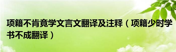 项籍不肯竟学文言文翻译及注释（项籍少时学书不成翻译）