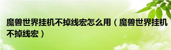 魔兽世界挂机不掉线宏怎么用（魔兽世界挂机不掉线宏）