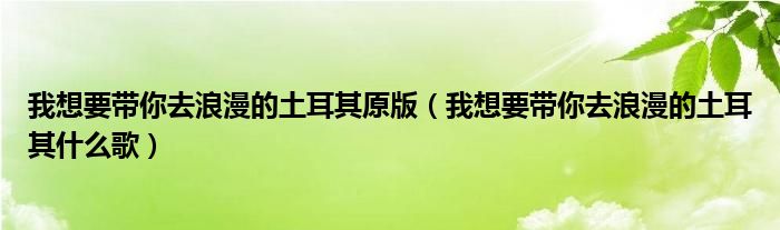 我想要带你去浪漫的土耳其原版（我想要带你去浪漫的土耳其什么歌）