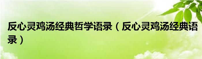 反心灵鸡汤经典哲学语录（反心灵鸡汤经典语录）