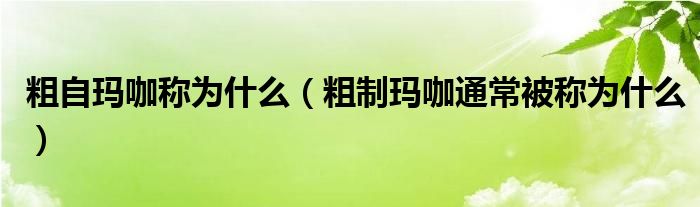 粗自玛咖称为什么（粗制玛咖通常被称为什么）