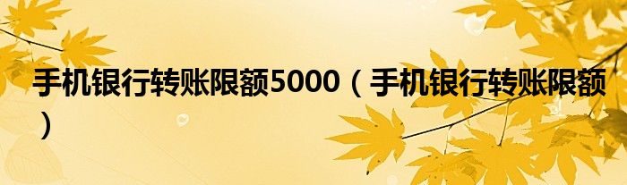 手机银行转账限额5000（手机银行转账限额）