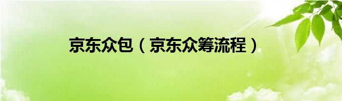 京东众包（京东众筹流程）