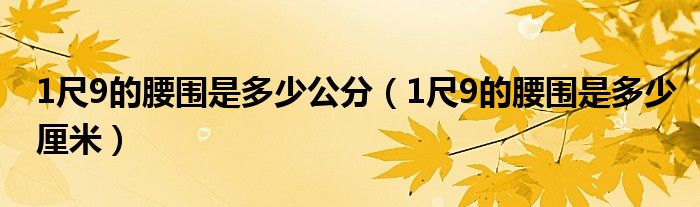 1尺9的腰围是多少公分（1尺9的腰围是多少厘米）