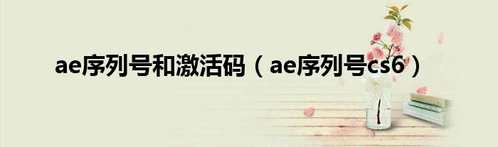 ae序列号和激活码（ae序列号cs6）