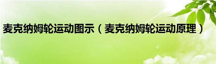 麦克纳姆轮运动图示（麦克纳姆轮运动原理）