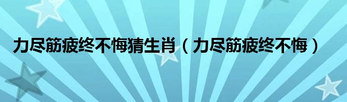 力尽筋疲终不悔猜生肖（力尽筋疲终不悔）