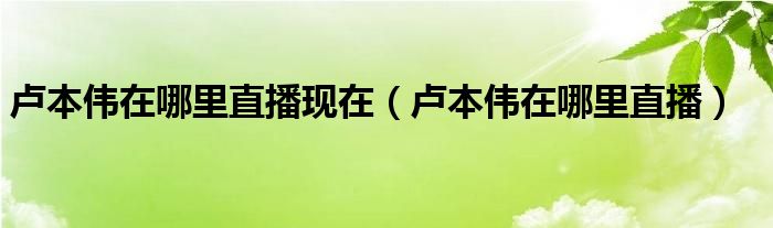 卢本伟在哪里直播现在（卢本伟在哪里直播）