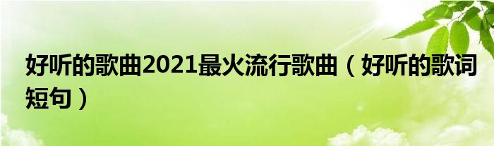 好听的歌曲2021最火流行歌曲（好听的歌词短句）