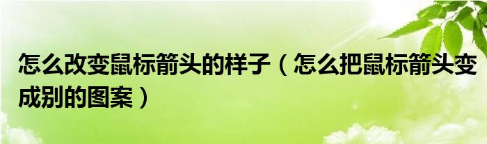 怎么改变鼠标箭头的样子（怎么把鼠标箭头变成别的图案）