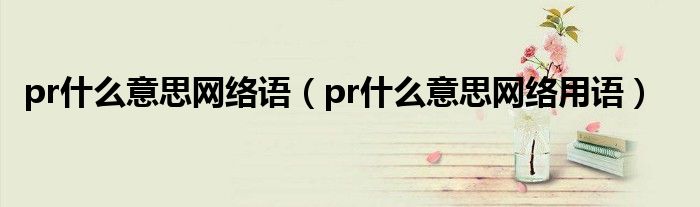 pr什么意思网络语（pr什么意思网络用语）