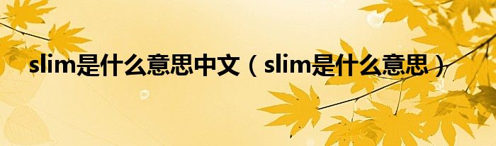 slim是什么意思中文（slim是什么意思）