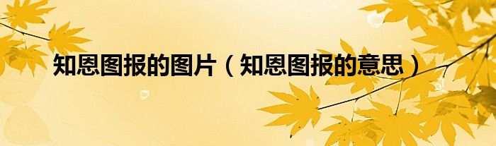 知恩图报的图片（知恩图报的意思）