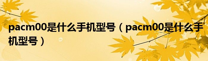 pacm00是什么手机型号（pacm00是什么手机型号）