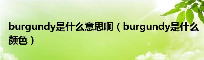 burgundy是什么意思啊（burgundy是什么颜色）