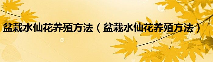 盆栽水仙花养殖方法（盆栽水仙花养殖方法）