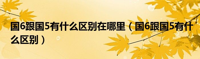 国6跟国5有什么区别在哪里（国6跟国5有什么区别）