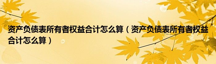 资产负债表所有者权益合计怎么算（资产负债表所有者权益合计怎么算）