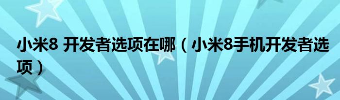 小米8 开发者选项在哪（小米8手机开发者选项）