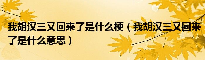 我胡汉三又回来了是什么梗（我胡汉三又回来了是什么意思）