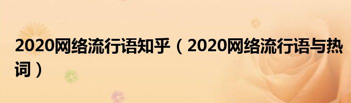 2020网络流行语知乎（2020网络流行语与热词）