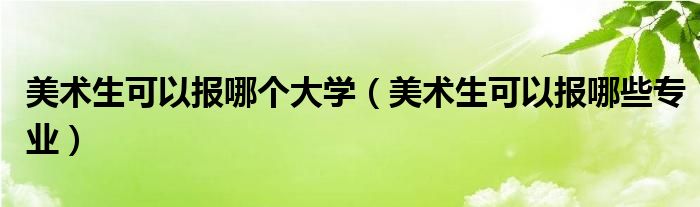 美术生可以报哪个大学（美术生可以报哪些专业）