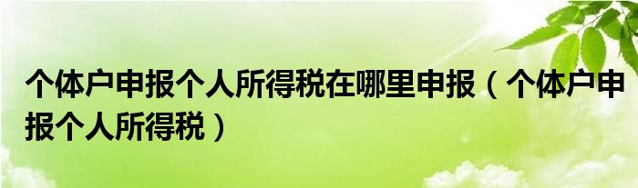 个体户申报个人所得税在哪里申报（个体户申报个人所得税）