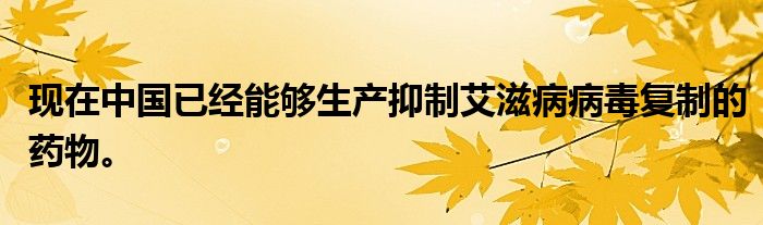 现在中国已经能够生产抑制艾滋病病毒复制的药物。