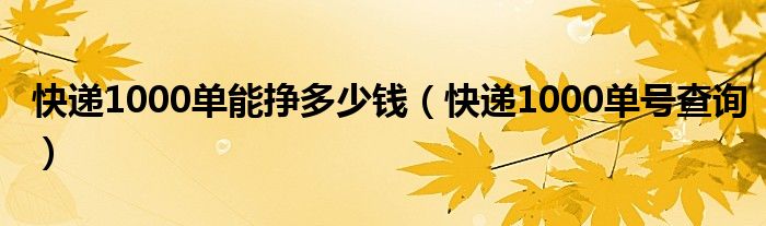 快递1000单能挣多少钱（快递1000单号查询）