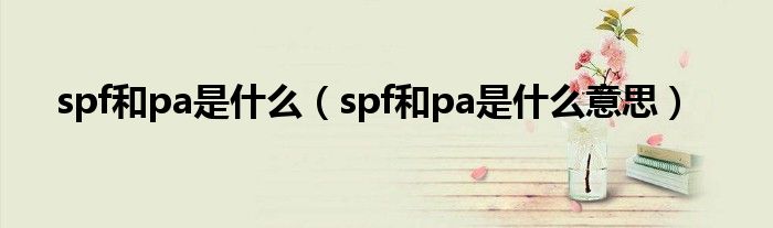 spf和pa是什么（spf和pa是什么意思）