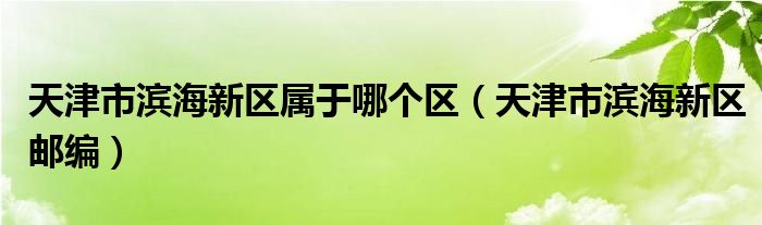 天津市滨海新区属于哪个区（天津市滨海新区邮编）