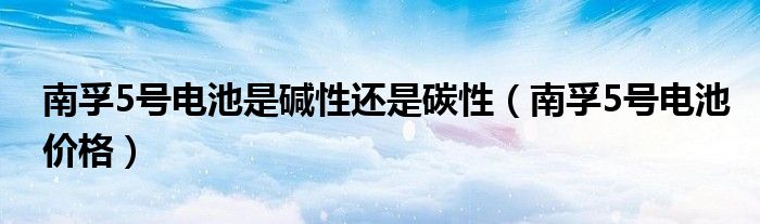 南孚5号电池是碱性还是碳性（南孚5号电池价格）