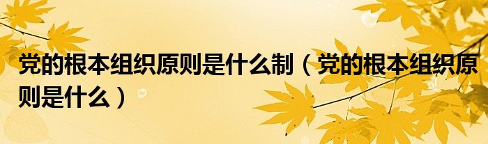 党的根本组织原则是什么制（党的根本组织原则是什么）