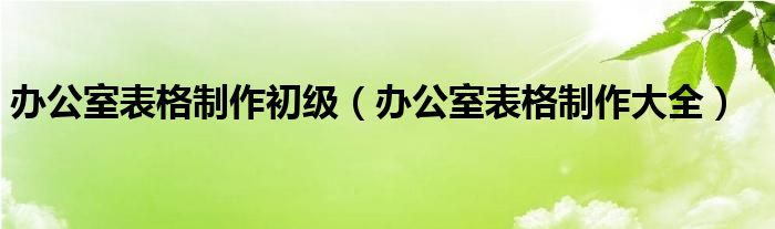 办公室表格制作初级（办公室表格制作大全）