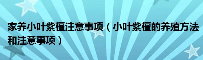 家养小叶紫檀注意事项（小叶紫檀的养殖方法和注意事项）